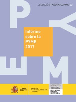 Informe sobre la pyme 2017